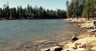 Unlock the Enchanting Secrets of Willow Springs Lake Payson 7 th 141
