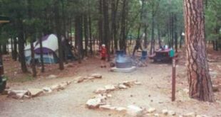 Unveiling the Enchanting Oasis: Discoveries at Willow Springs Lake 22 th 196