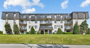 Uncover the Secrets of 7301 Willow Springs Road: Your Guide to Shopping, Dining, and Entertainment 13 th 199