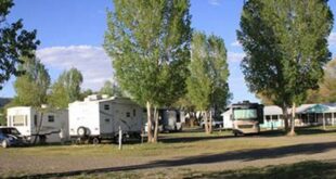 Discover the Enchanting Willow Springs RV Park: An Oasis in Raton, New Mexico 19 th 239