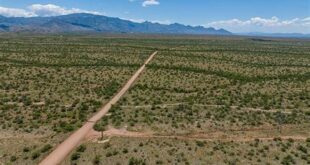 Discover the Enchanting Journey of Willow Springs Road, Oracle, AZ 1 th 249