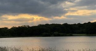 Unveiling the Hidden Gems of Bullfrog Lake: A Nature Lover's Paradise 13 th 257