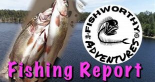Unlock the Secrets: Willow Springs Lake Fishing Report Unveiled! 34 th 26