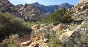 Uncover the Enchanting Willow Spring Loop: A Journey of Discovery in Red Rock Canyon 10 th 287