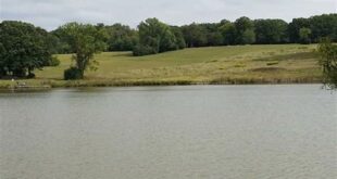 Unveiling the Enchanting Oasis at Camp Bullfrog Lake: Discoveries and Insights Await! 10 th 33