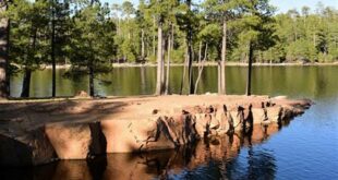 Explore Hidden Gems: Unlocking the Secrets of Willow Springs Lake Boat Rentals 16 th 36