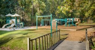 Unlock the Hidden Gems and Surprises of Willow Springs Park Roswell GA 30 th 57