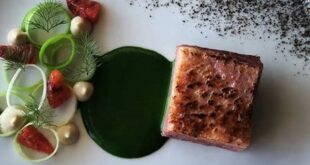 Uncover the Culinary Enchantments of Willow Restaurant in Harbor Springs 21 th 85