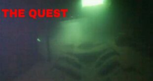 Discover the Hidden Underwater Wonders of Willow Springs Dive Park 1 th 118