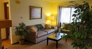 Uncover the Hidden Gems of Willow Springs Apartments, Urbana IL 19 th 123