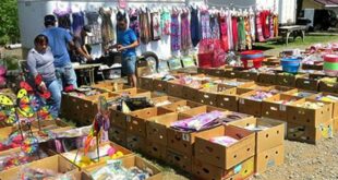 Uncover Hidden Gems: Dive into the Treasures of Willow Glen Flea Market 28 th 160