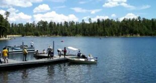 Unveil the Enchanting World of Paddle Boarding at Willow Springs Lake 7 th 183