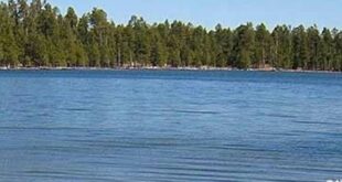 Willow Springs Lake: Discover Year-Round Recreation and Enchanting Surprises 25 th 2