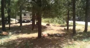 Discover the Hidden Oasis: Unveiling Sinkhole Campground at Willow Springs Lake 16 th 20