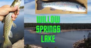 Unlock the Secrets of Willow Springs Lake: A Fishing Paradise 25 th 205