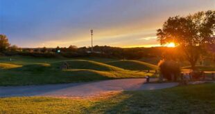 Uncover the Secrets of Willow Springs Golf Course: A Golfer's Paradise in Wilson, NC 25 th 243