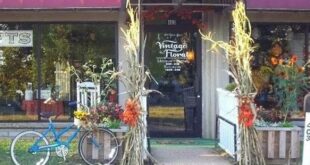 Uncover the Vintage Floral Charm of Willow Springs, Missouri 7 th 300