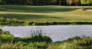 Uncover the Enchanting Greens of Willow Springs Golf Course San Antonio TX: A Golfer's Paradise 25 th 312