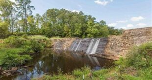 Unlock the Enchanting Lakefront Living of Panther Lake Willow Springs, NC 13 th 323