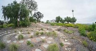 Unveiling the Enchanting World of Willow Springs Park Long Beach 13 th 33