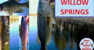 Unveil the Secrets of Willow Springs Lake: A Journey into Its Diverse Fish Species 7 th 338