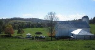 Discover the Enchanting World of Willow Spring Farm Bridgewater VA 19 th 452