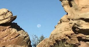Unveiling the Enchanting Willow Springs Trail: Discoveries and Insights Await 25 th 453