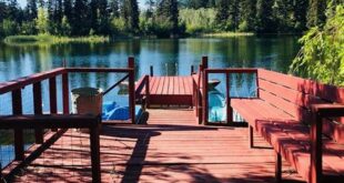 Unveiling Willow Springs: A Journey of Discovery through Guest Reviews 10 th 460