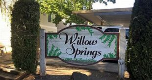 Discover a Hidden Gem: Unlocking the Enchanting World of Willow Springs Apartments Beaverton 1 th 463