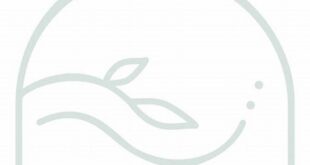 Discover Mental Wellness at Willow Spring Counseling Center | Willow Springs 4 th 491
