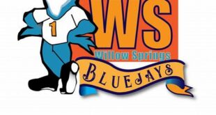 Unlock the Hidden Gems of Willow Springs: Dive into Nextdoor! 19 th 495