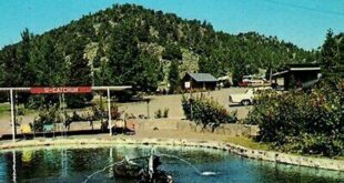 Uncover Willow Springs Motel: A Haven of Comfort and Value 19 th 509