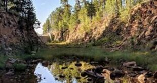 Uncover Hidden Gems: Exploring Willow Springs Canyon Trail's Enchanting Secrets 7 th 526