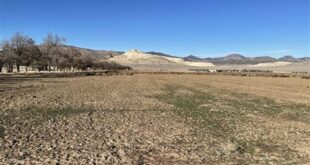 Discover Commercial Real Estate Gems in Willow Springs with LoopNet 22 th 537