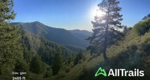 Unveiling the Secrets of Willow Flat Springs Trail: Discover Hidden Gems and Expert Insights 19 th 549