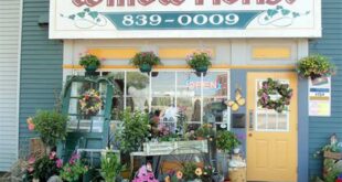 Unveil the Secrets of "willow springs il florist": Discoveries & Insights 7 th 638