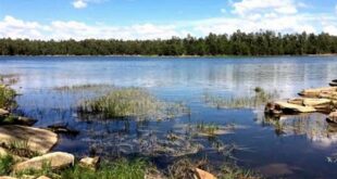 Unlock the Secrets of Willow Springs Lake: Discover the Best Swimming Spot 10 th 89