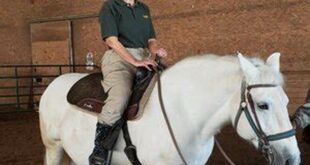 Discover Equestrian Excellence: Unraveling the Enchanting World of Sarah Ponies Willow Springs IL 22 th 103