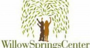 Uncover the Hidden Gems of Willow Springs: Your Guide to Thriving Careers 1 th 11
