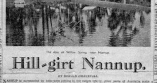 Uncover Hidden Gems: Willow Springs Newspaper Unveils Local Insights 10 th 111