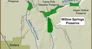 Discover the Enchanting Realm of Willow Springs Preserve 7 th 112