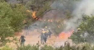 Unveiling the Willow Springs Ranch Fire: Insights and Discoveries 13 th 122