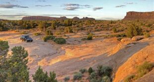 Unlock the Hidden Gems of Willow Springs Campground Moab 13 th 133