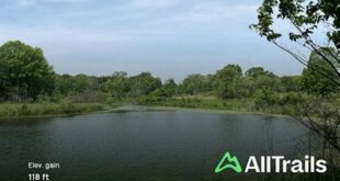 Unveiling Willow Spring Woods: A Treasure Trove of Discovery 16 th 142