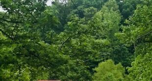 Unlock the Enchanting World of Willow Springs: Your Guide to Unforgettable Outdoor Adventures 13 th 156