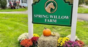 Unveiling the Enchanting World of Spring Willow Farm Mendon MA 7 th 182