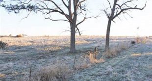 Uncover the Hidden Gems of Willow Springs, Kansas: A Journey of Discovery and Delight 16 th 214