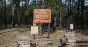 Uncover the Secrets of Willow Springs' Enchanting Weather 1 th 30