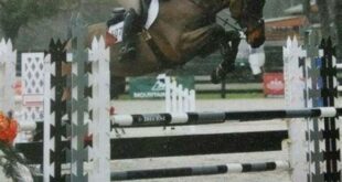 Unveiling the Equestrian Haven: Discoveries at Willow Springs Riding and Training Center 16 th 35