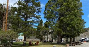 Discover the Enchanting World of Willow Springs Resort Bridgeport 13 th 42
